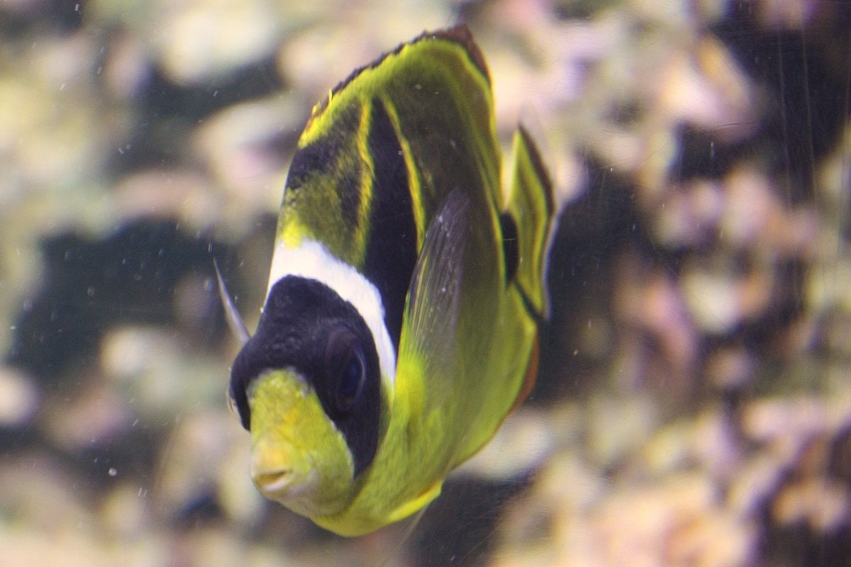 Columbus Zoo and Aquarium - Gallery Image 3